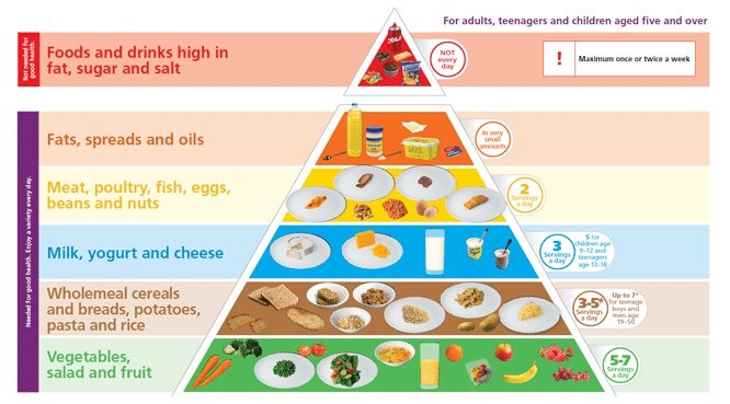 food pyramid - erect at will